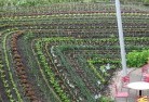 Black Hill SApermaculture-5.jpg; ?>